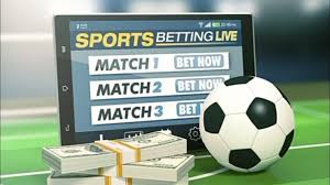 Understanding the Dynamics of Gambling An In-Depth Look at meda bet