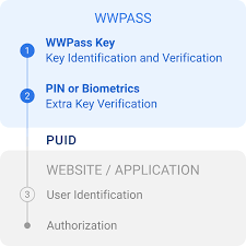 Exploring the Essentials of Identity Management
